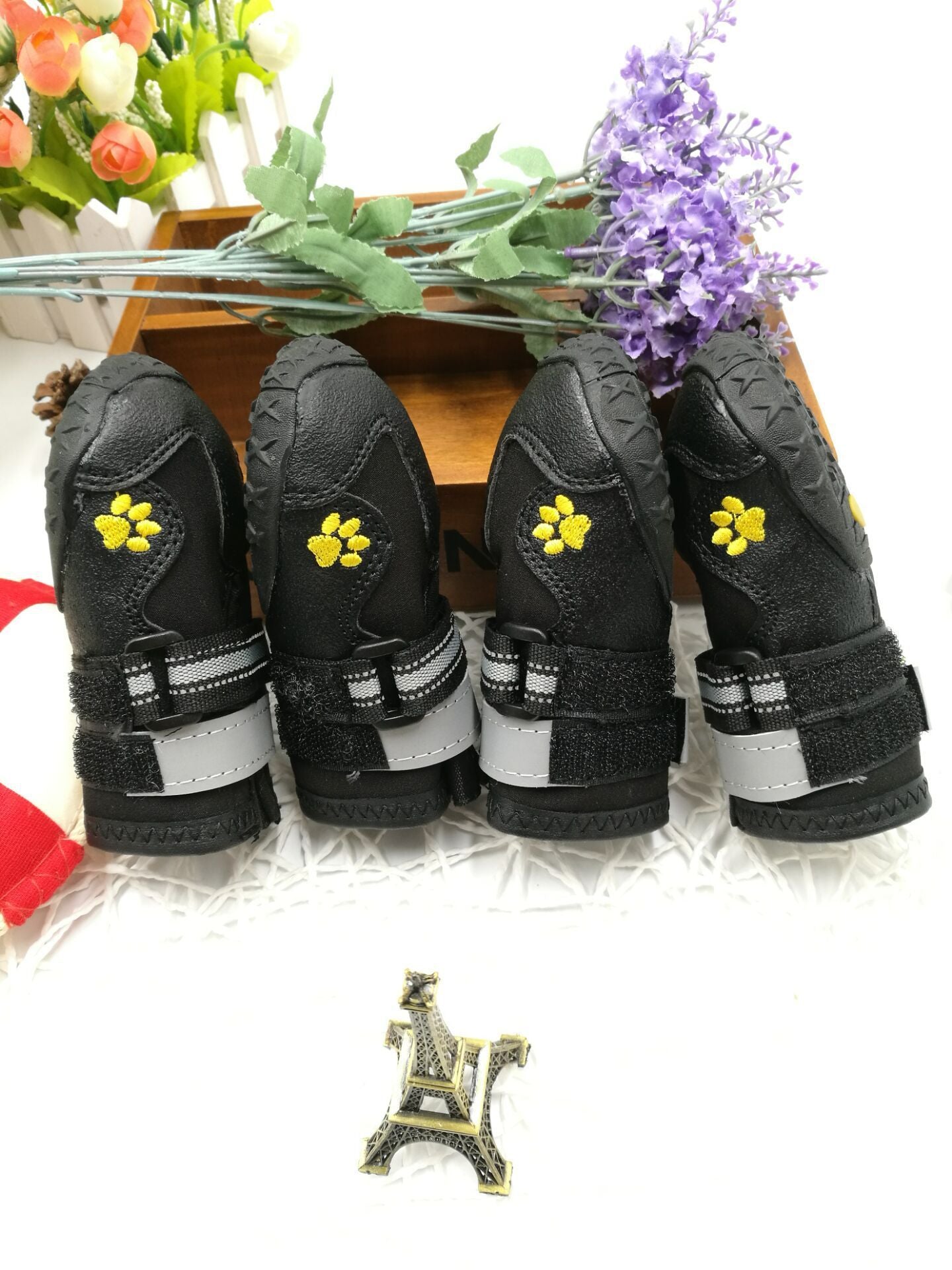 Pet shoes wear