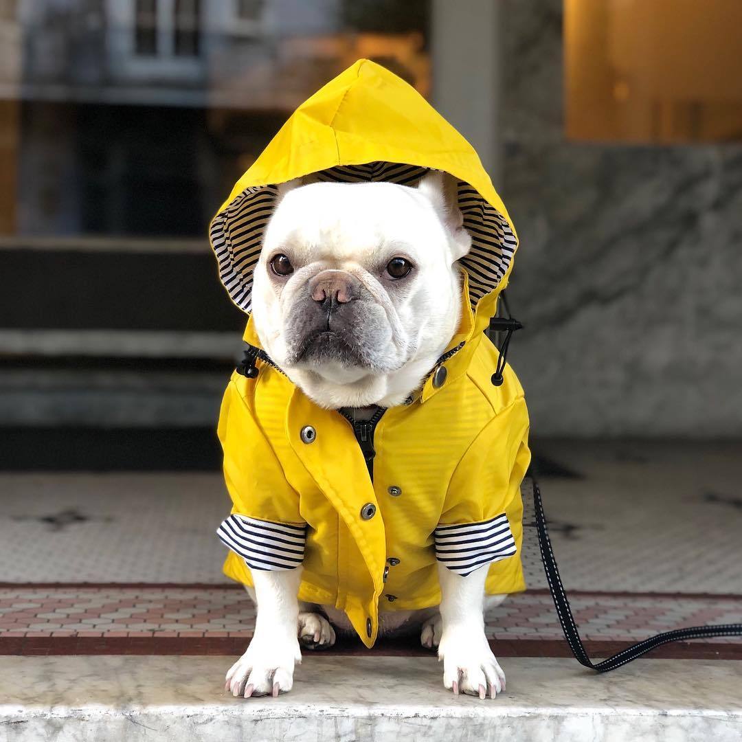 Raincoat Clothe