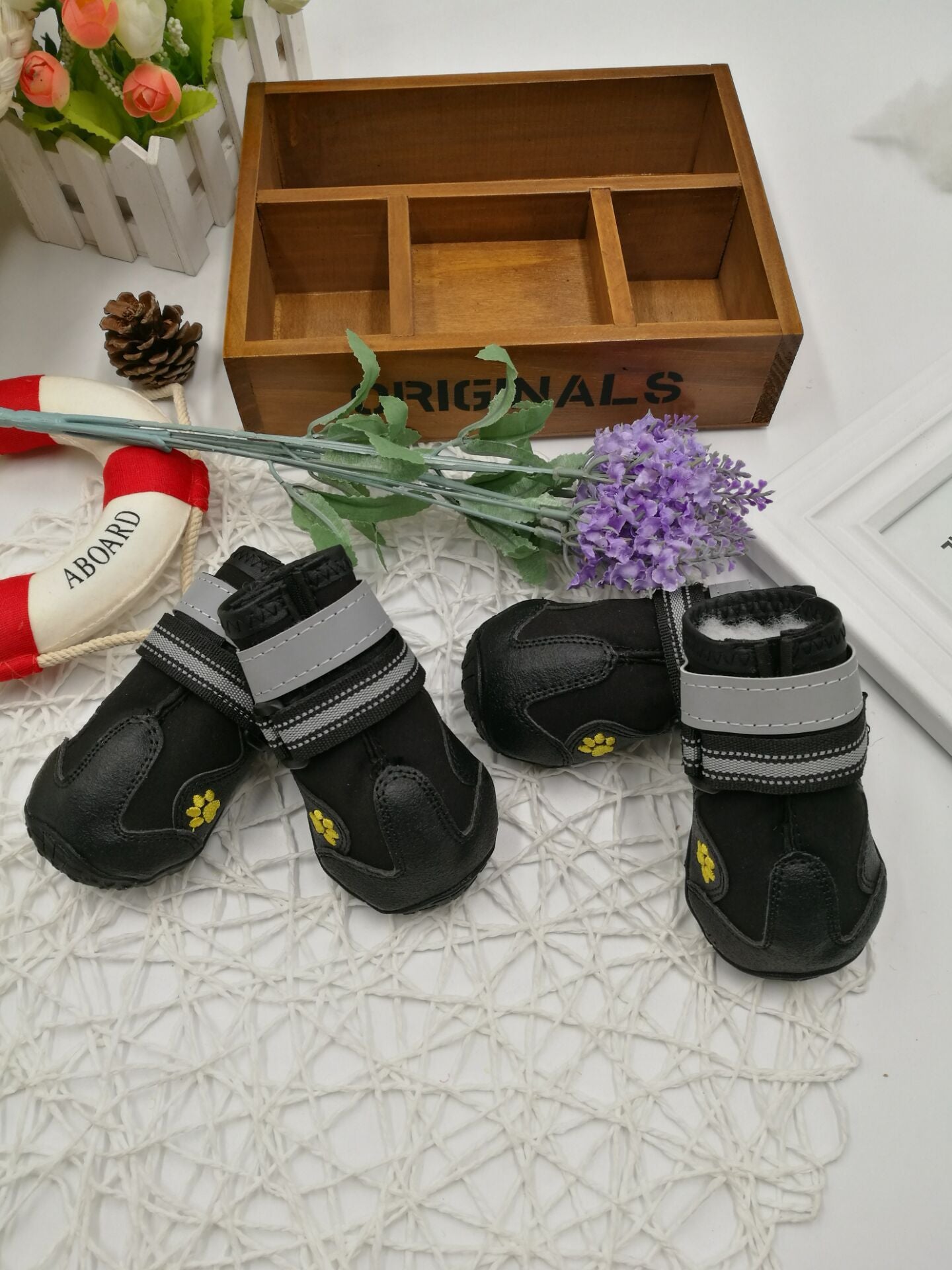 Pet shoes wear