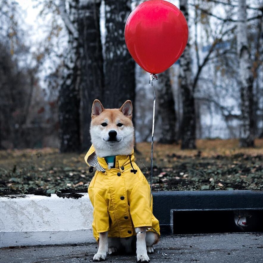Raincoat Clothe