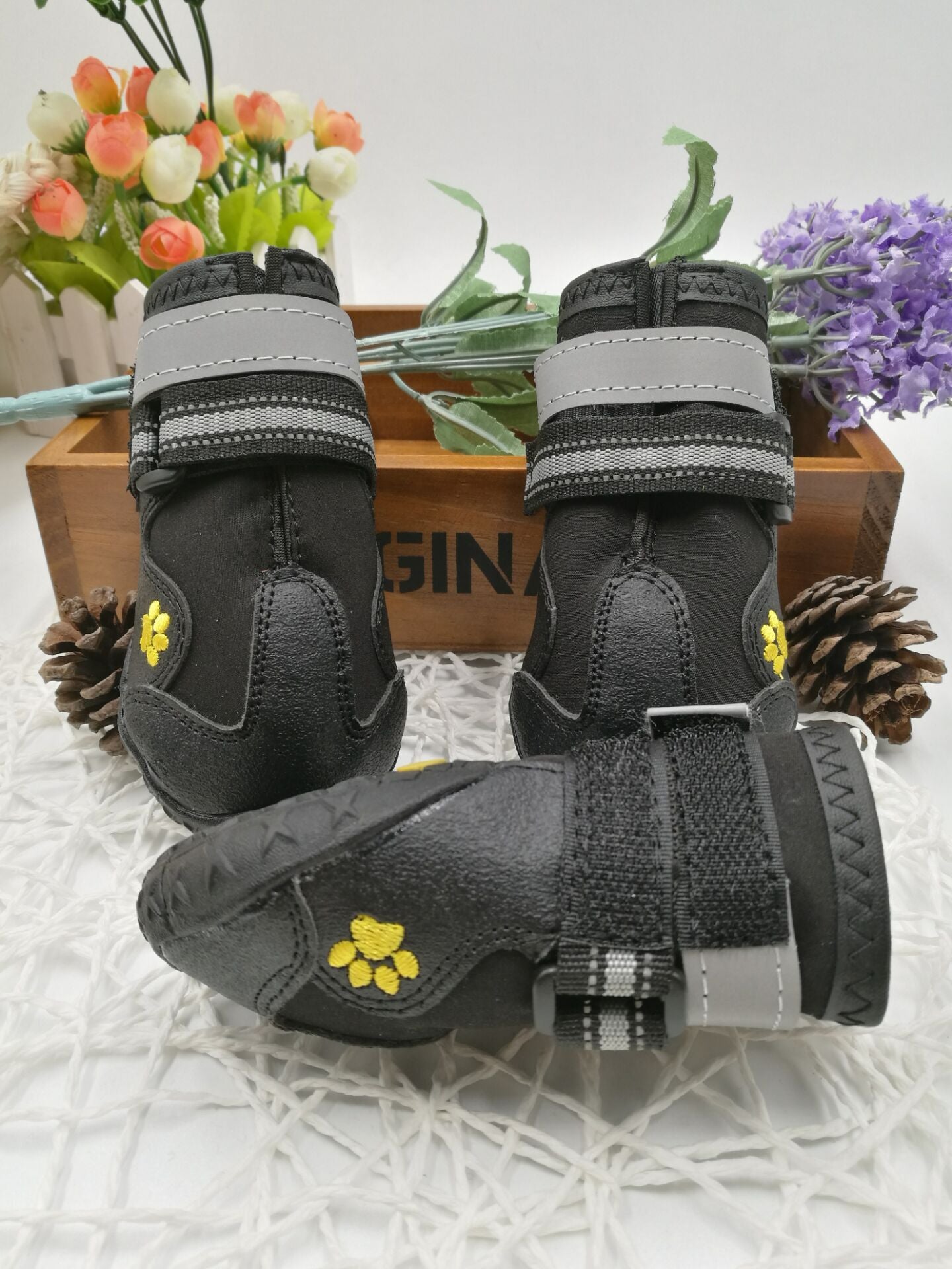 Pet shoes wear
