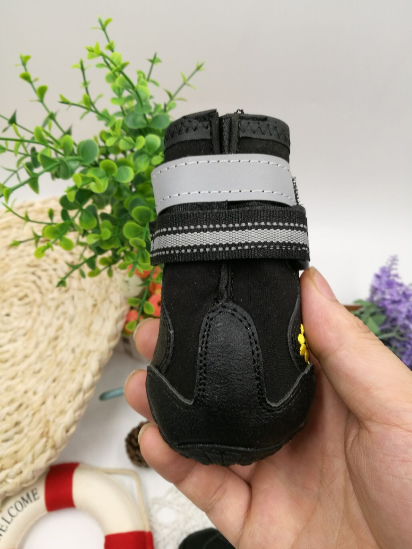 Pet shoes wear