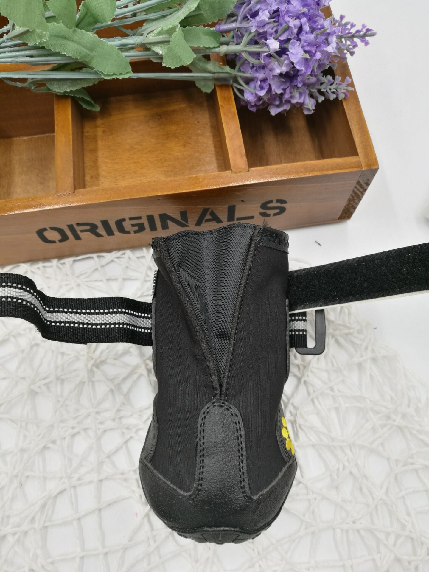 Pet shoes wear