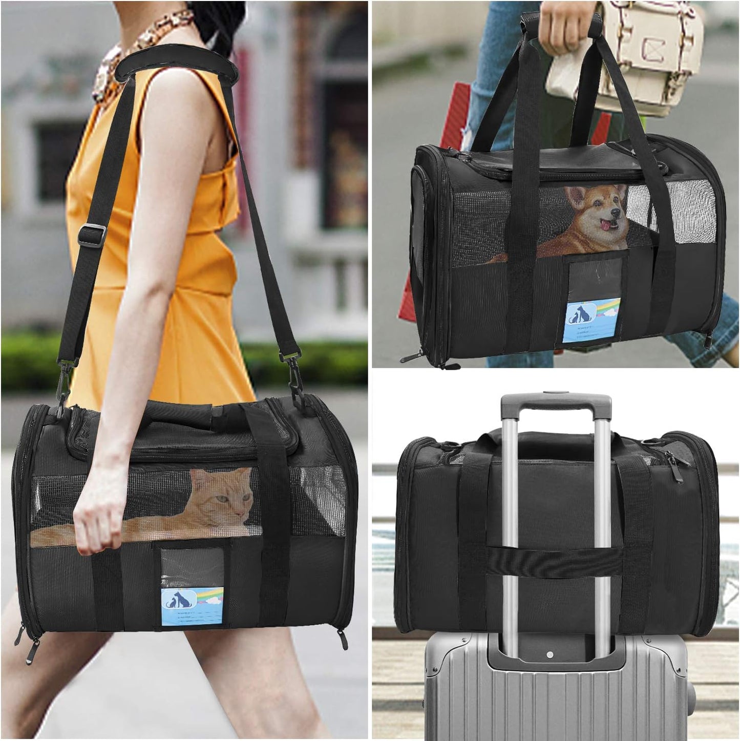 Airline Approved Pet Carrier - Ever Tail