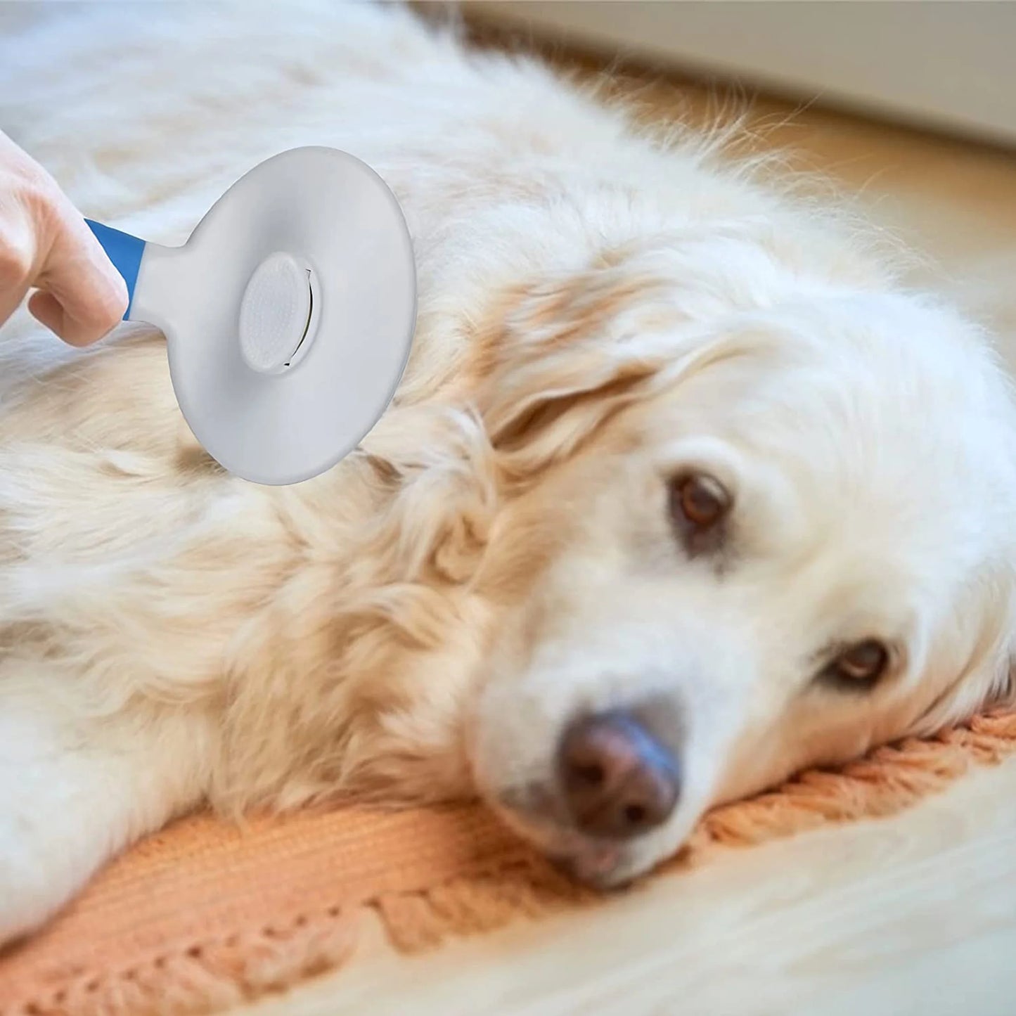 Self - Cleaning Pet Brush for Cats & Dogs - Ever Tail