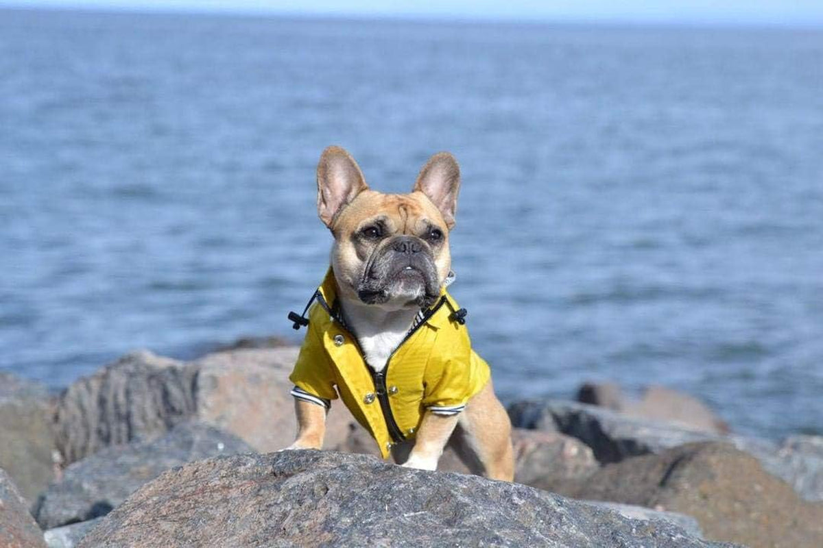Waterproof Reflective Jacket