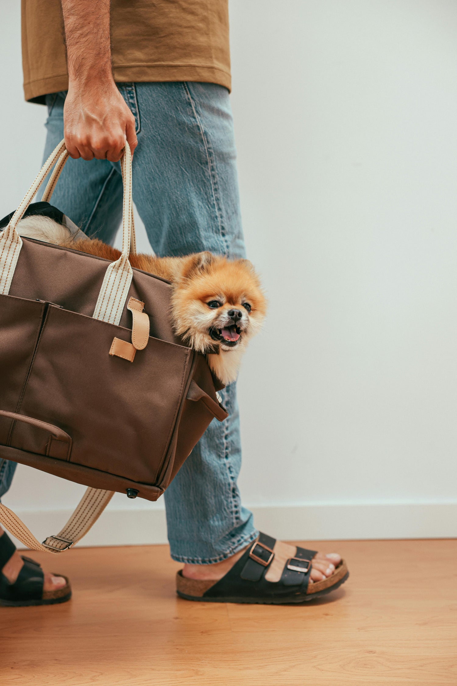 Carry - Ever Tail