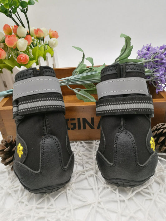 Pet shoes wear