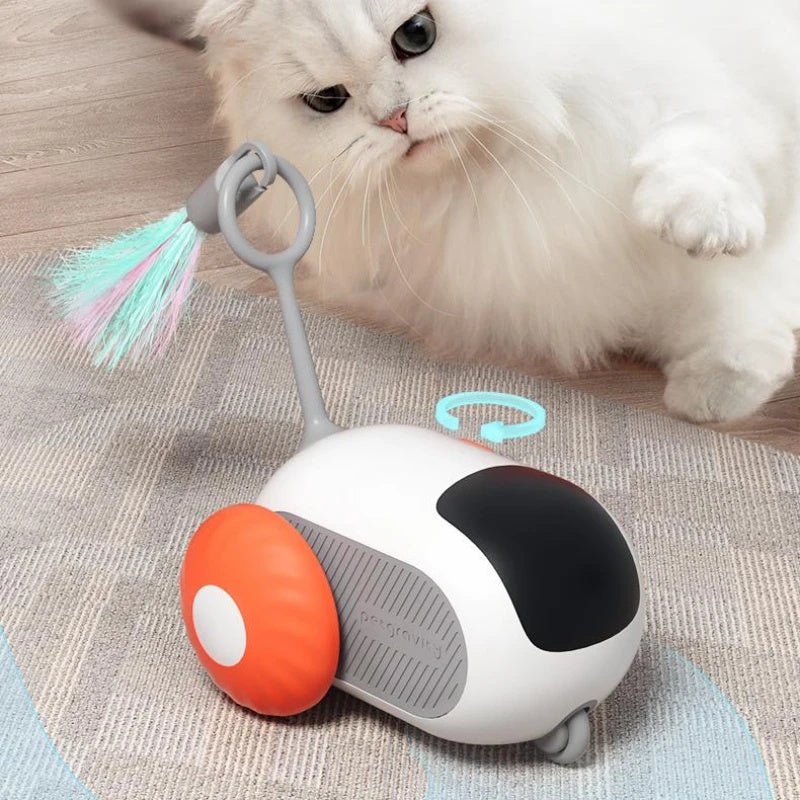 Remote Control Interactive Cat Toy Car USB - Ever Tail
