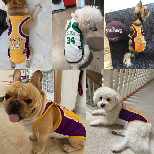 Chihuahua, Yorkie and Bulldog Basketball Jersey Outfits