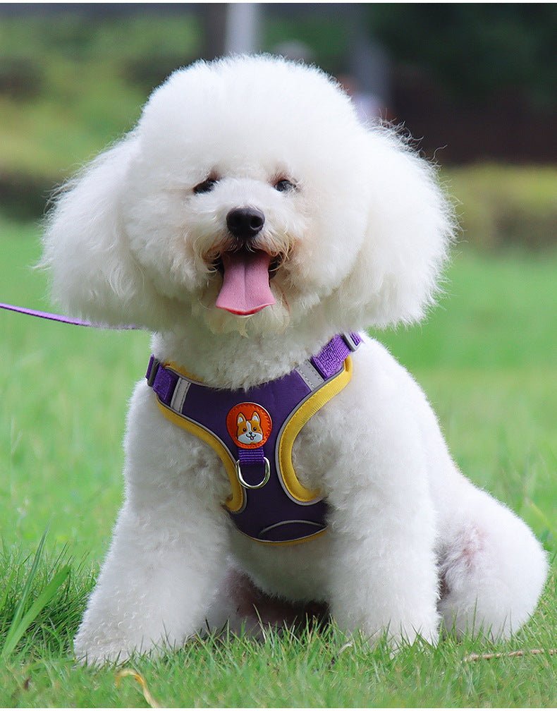 Reflective Soft Mesh Harness - Ever Tail