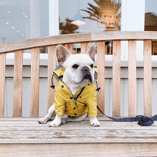Raincoat Clothe
