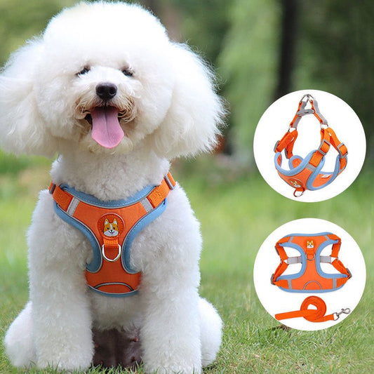 Reflective Soft Mesh Harness - Ever Tail